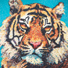 Tiger-thumbnail